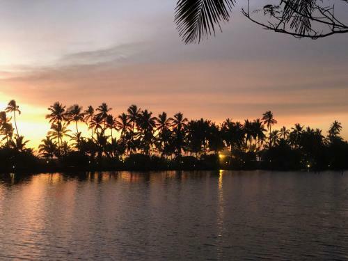 Hotel Vivanta By Taj - Green Cove