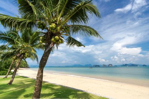 Hotel Coastal Escape - Koh Yao Noi
