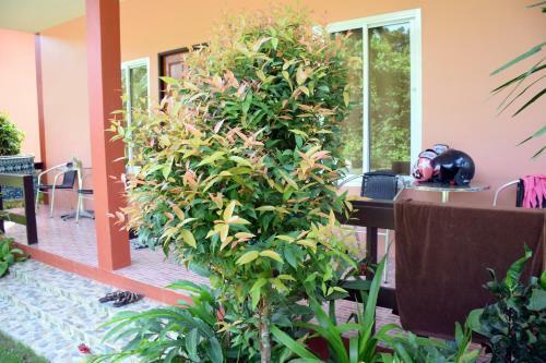 Albergue Baan Longhaad