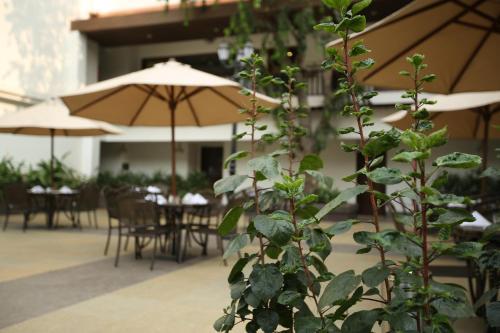 Hotel Rhythm Lonavala ? An All-suite Resort