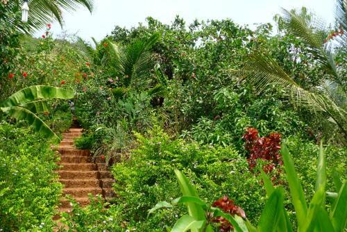 Hotel Jivana Resort