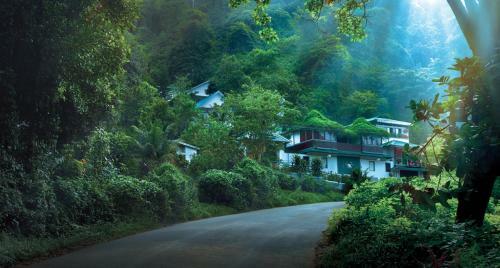 Hotel Bellavista Resort Munnar