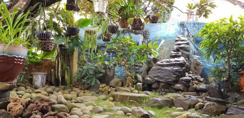 Hotel Villa Pink House
