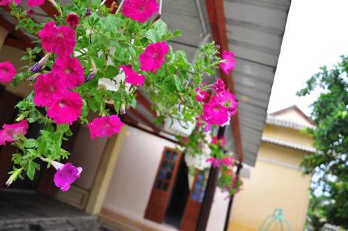 Petunia Garden Homestay And Hostel