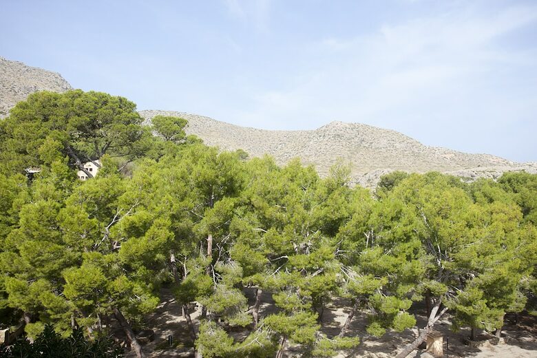 Hotel Cala Sant Vicen�