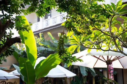 Hotel Hoi An Trails Resort & Spa