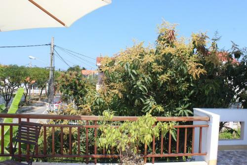 Hoian Joy Homestay