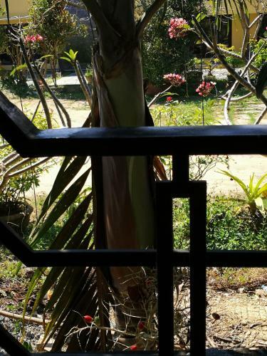 Cam Nam Homestay