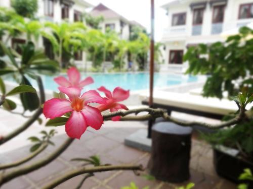 Hotel Hoi An Green Field Villas & Spa
