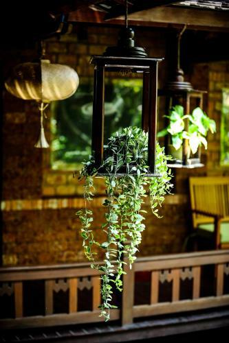 Hotel Palm Garden Beach Resort & Spa