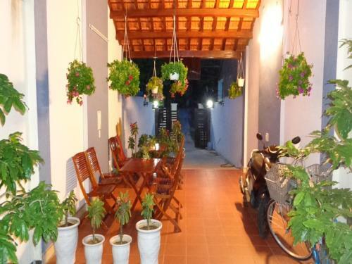 Banana Homestay Hoi An