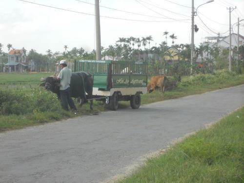 Lila Homestay