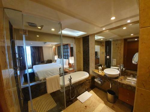 Hotel Radisson Blu Plaza Delhi