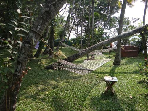 Hostal Ashtamudi Villas