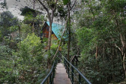 Hotel Khaosok Treehouse Resort