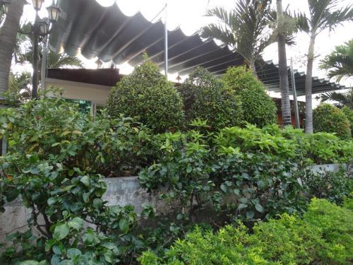 Albergue Hoai Pho Hotel