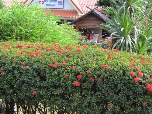Hotel Flower Paradise & Roestiland