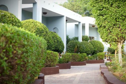 Hotel The Pugmark- Boutique Resort