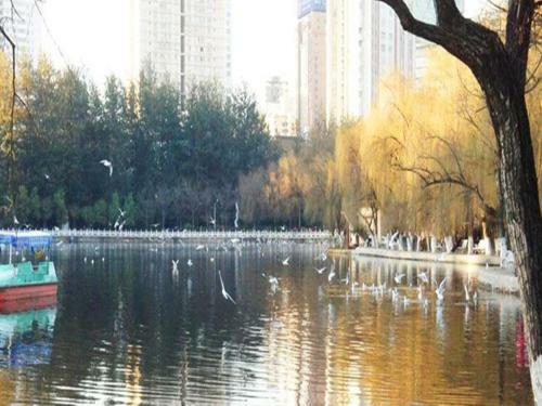 Fairyland Hotel Kunming East Railway Station