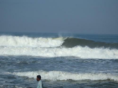 Gumnut Beach House Homestay