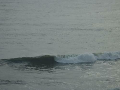 Gumnut Beach House Homestay