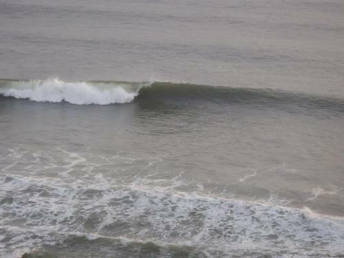 Gumnut Beach House Homestay