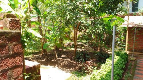 Gumnut Beach House Homestay