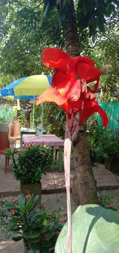 Marari Swapna Beach Villa
