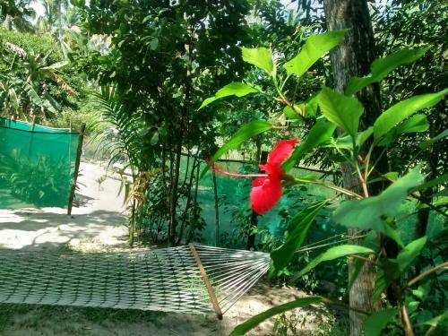 Bed & Breakfast Marari Nest Beach Homestay