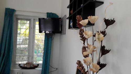The Pod Cochin Homestay