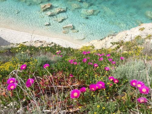 Agroturismo Relais Il Termine