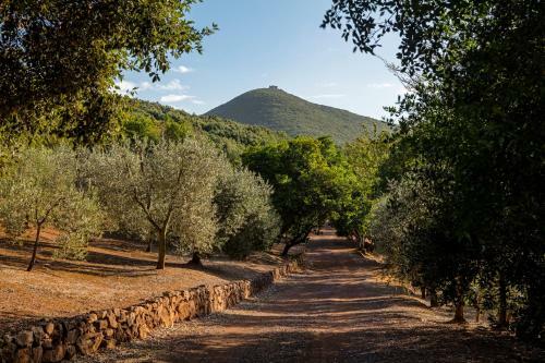 Agroturismo Relais Il Termine