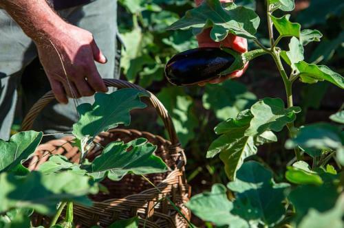 Agroturismo Relais Il Termine