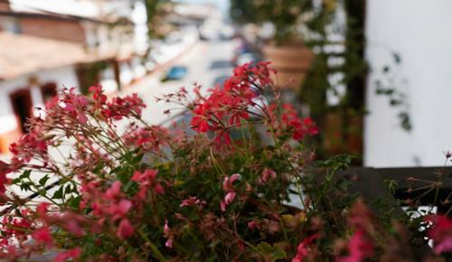 Hotel Mes�n De Leyendas Downtown & Garden