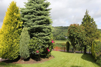 Bed & Breakfast Sleepy Hollow