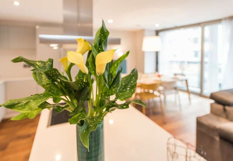 Apartamento Smartrental Collection Centric II