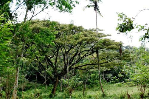 Agroturismo Nature Hub Koslanda