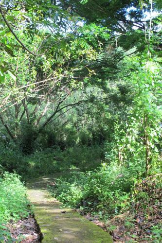 Agroturismo Nature Hub Koslanda