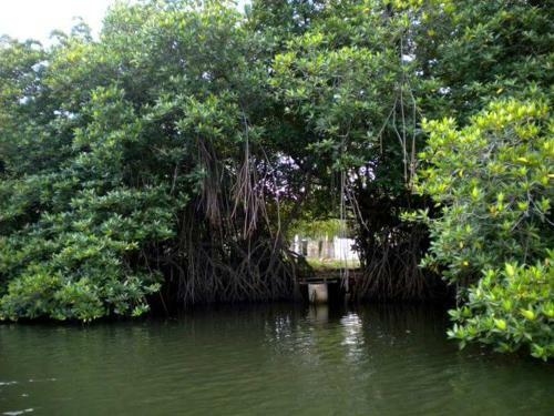 Nadi Villa