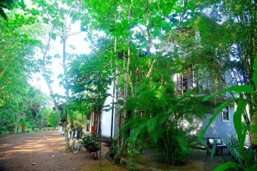 Nadi Villa