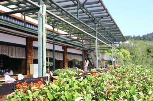 Bed & Breakfast Sun Shine Vacation Villa