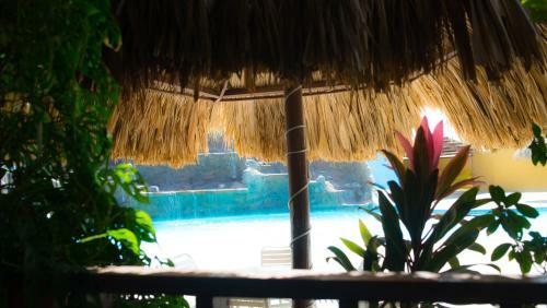Arawa Houses