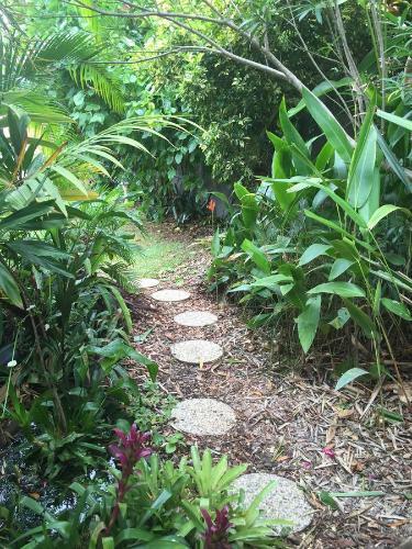 Hostal Sunshine Coast Tropical Getaway