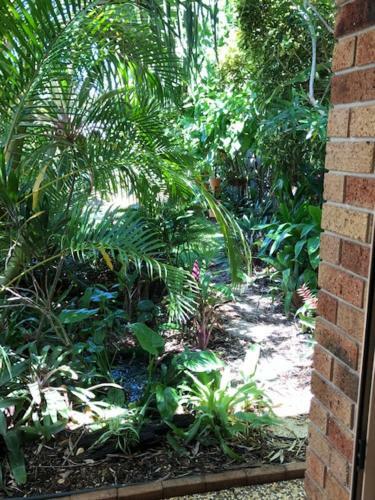 Hostal Sunshine Coast Tropical Getaway