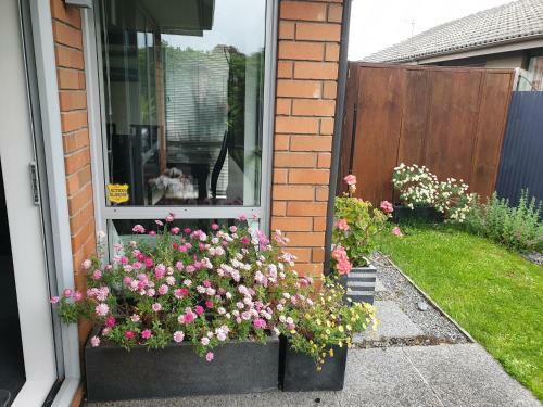 Bed & Breakfast Great Location & Value Own Bathroom