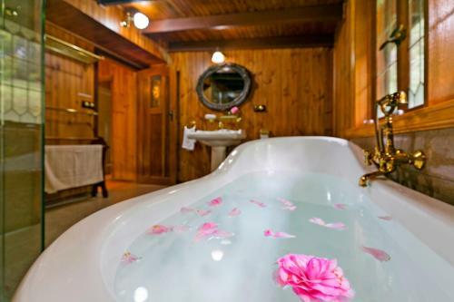 Lodge Eagles Nest Luxury Mountain Retreat