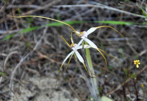 Apartamentos Alfred Cove Short Stay