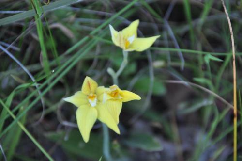 Apartamentos Alfred Cove Short Stay