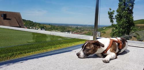 Haus Mehrblick