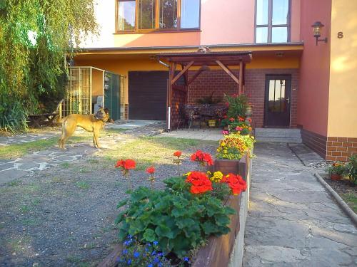 Apartments ?esk� St?edoho?�